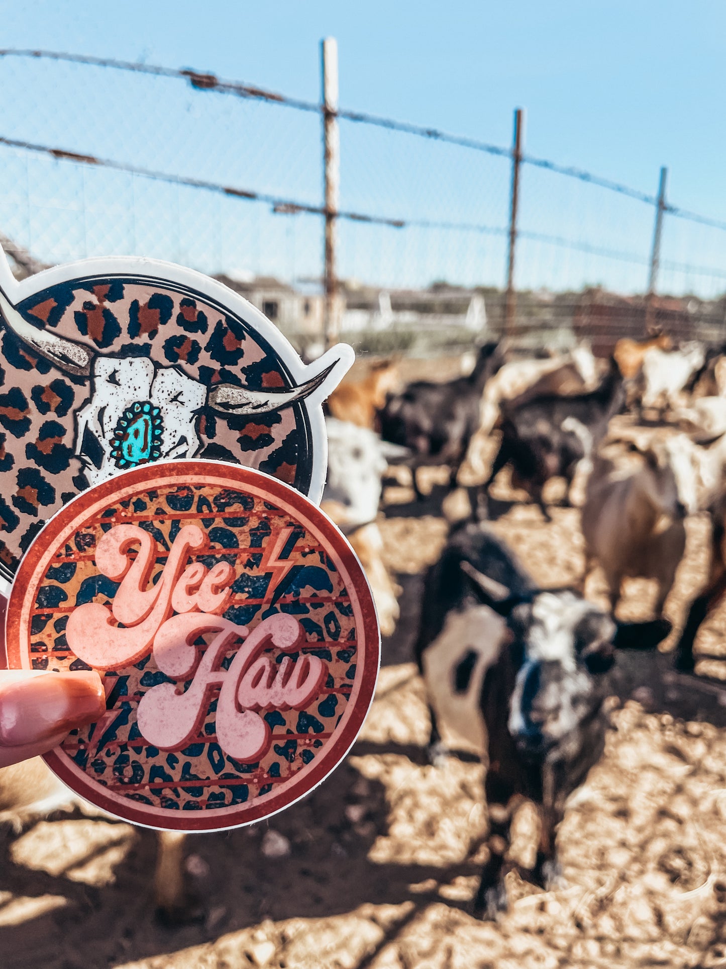 Cheetah Skull Sticker