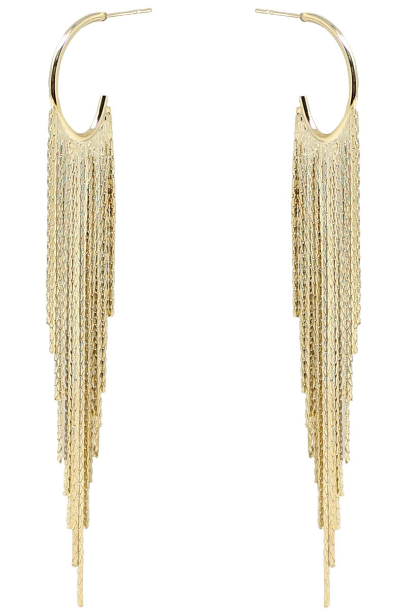 Tassel Hoop Earring