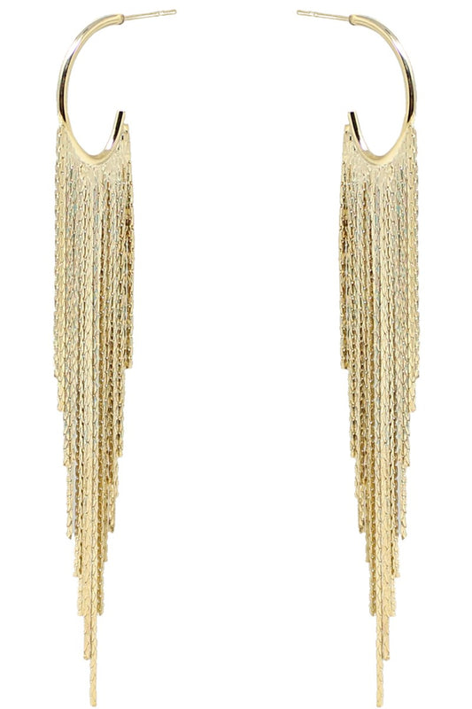 Tassel Hoop Earring