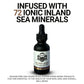 Revitalizing Hair Serum