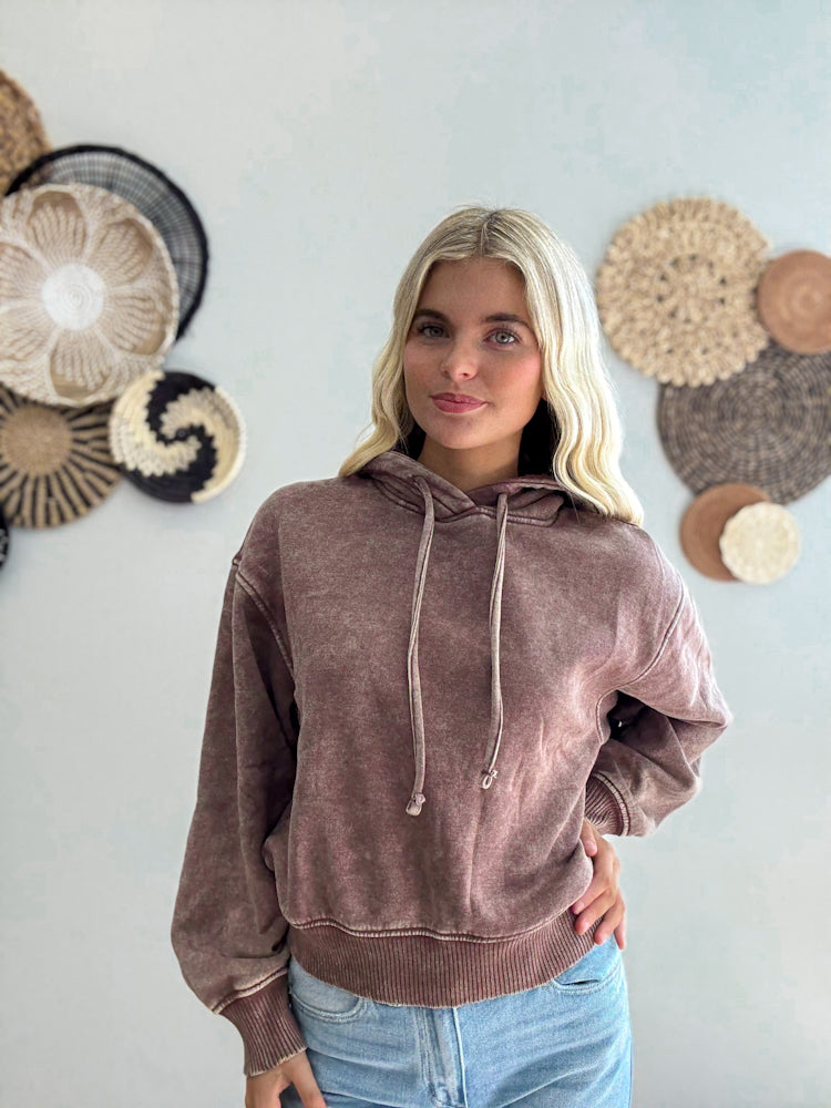 Weekend Wash Hoodie in Brown