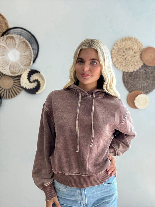 Weekend Wash Hoodie in Brown