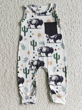 Load image into Gallery viewer, Buffalo Cactus Romper
