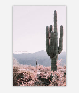 Cactus Desert Sticker